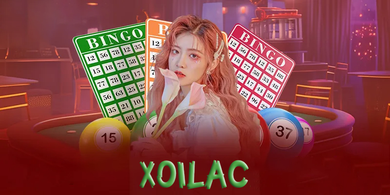 Xổ số Xoilac | Cánh cửa mở ra tương lai tài chính của bạn